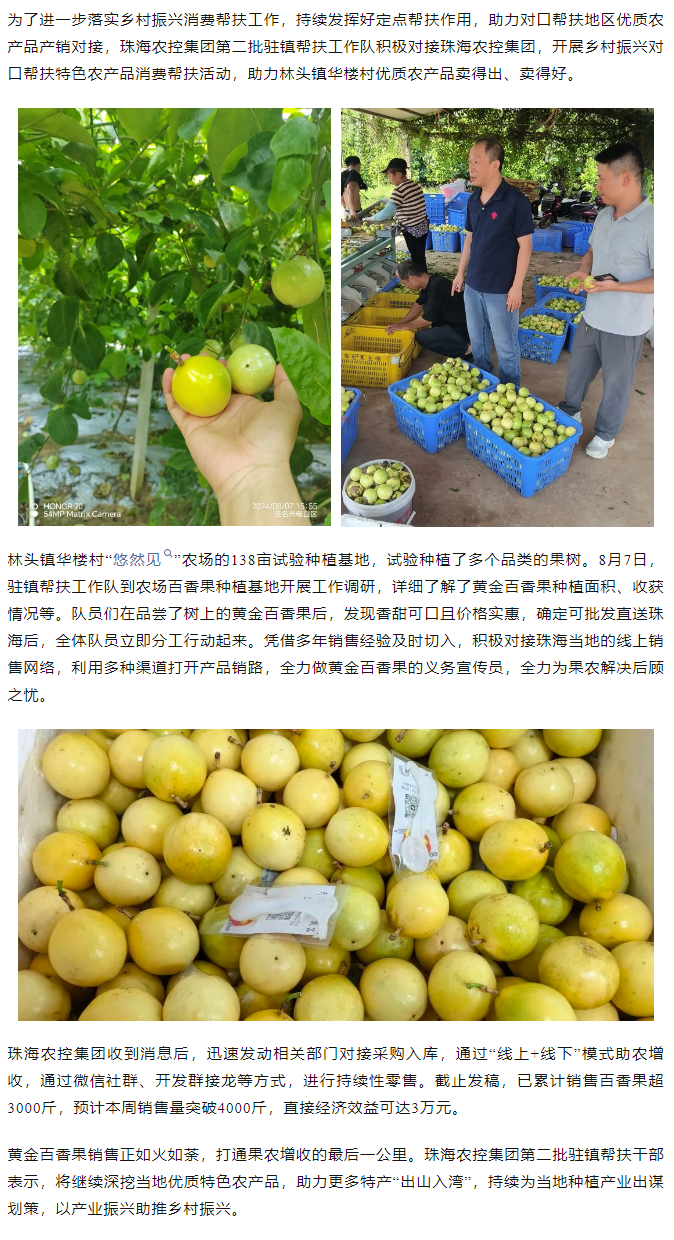 拼搏官网平台集团助力产销对接 对口帮扶果香飘百里.png